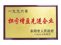 扭虧先進(jìn)企業(yè)